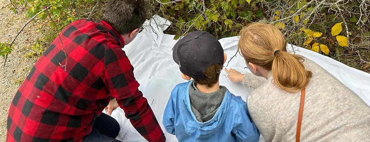 massexperimentbioblitz