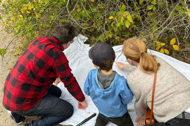 massexperimentbioblitz