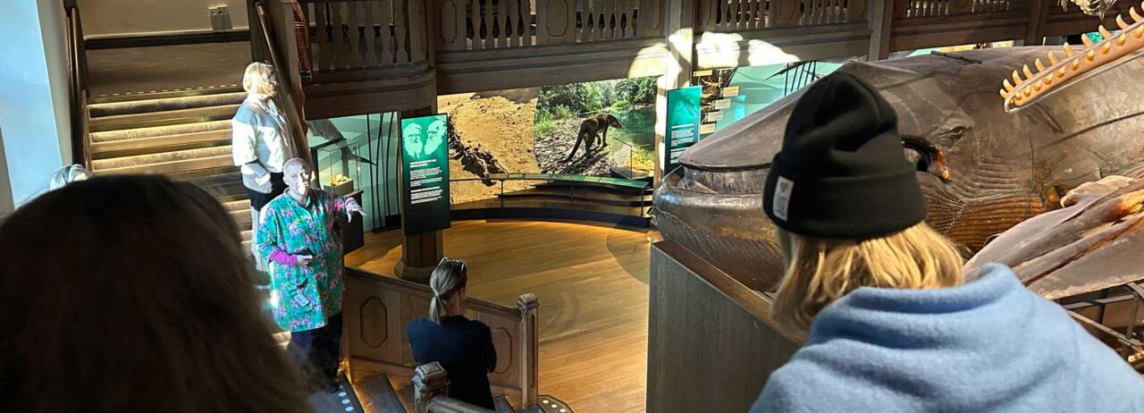 naturhistoriska